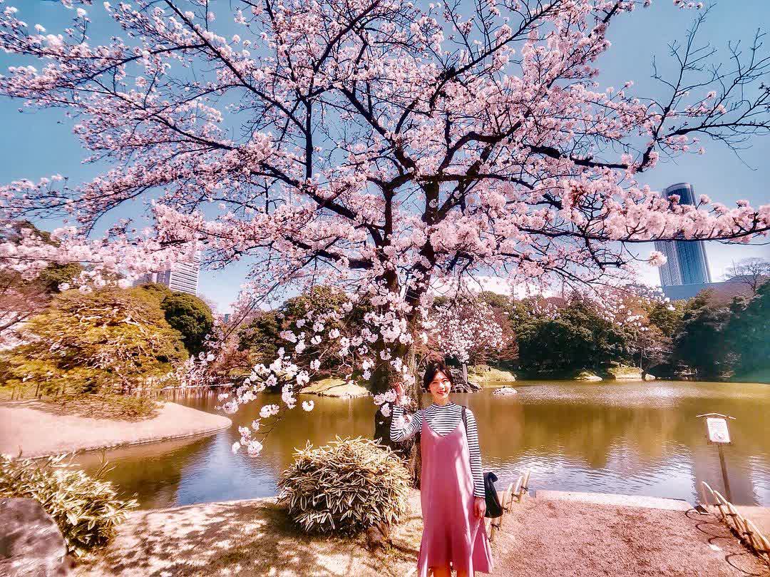 小石川後樂園 | 去趣 chicTrip