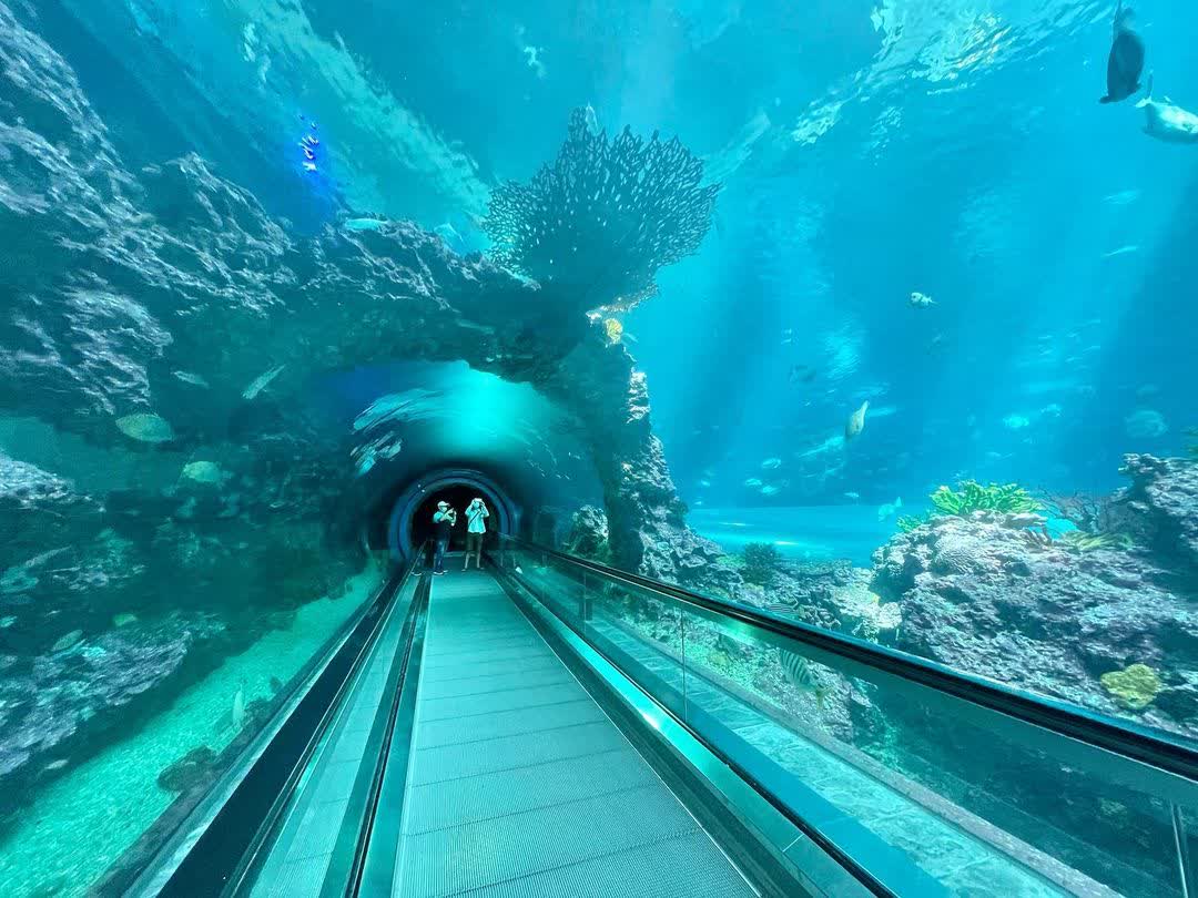 國立海洋生物博物館 | 去趣 chicTrip