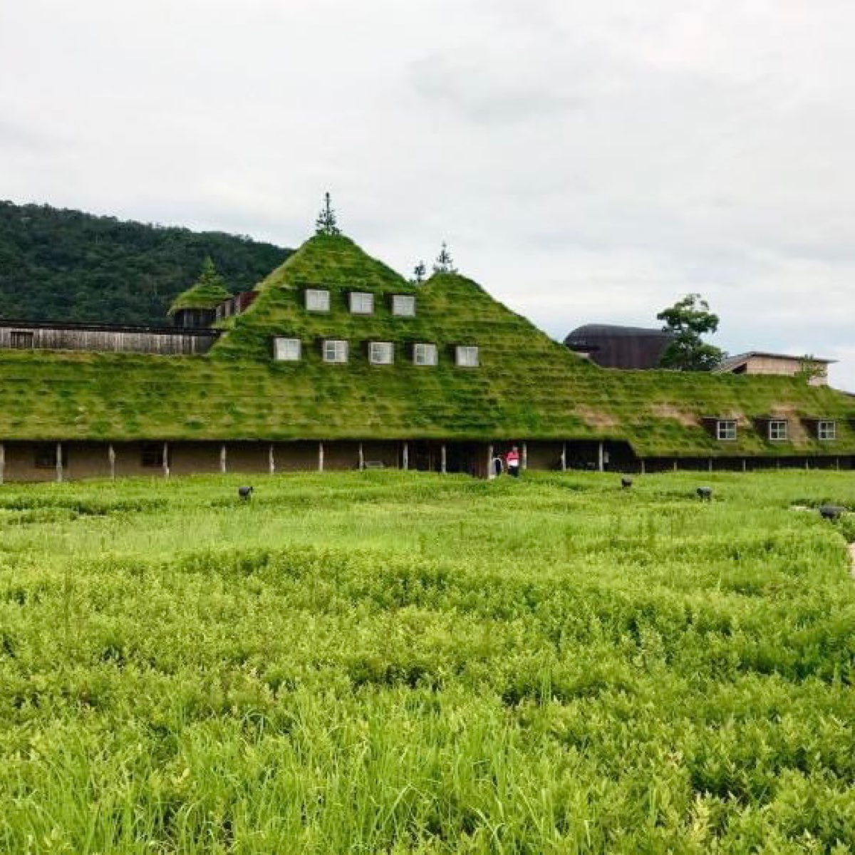La Collina 近江八幡 | 去趣 chicTrip