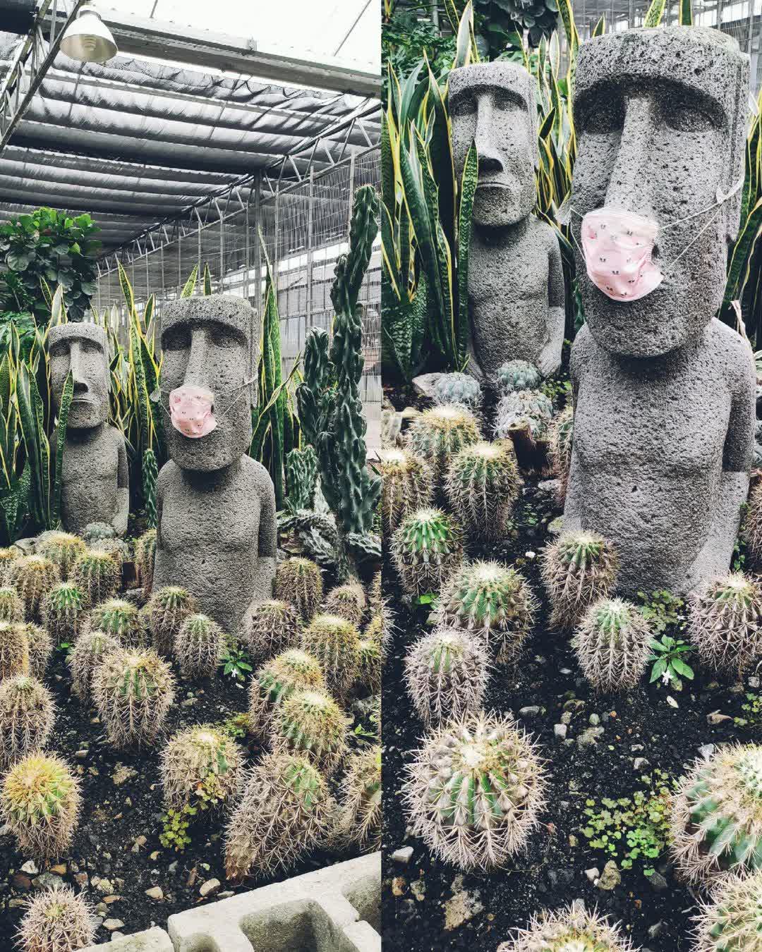 金車礁溪蘭花園附設動植物生態館 | 去趣 chicTrip