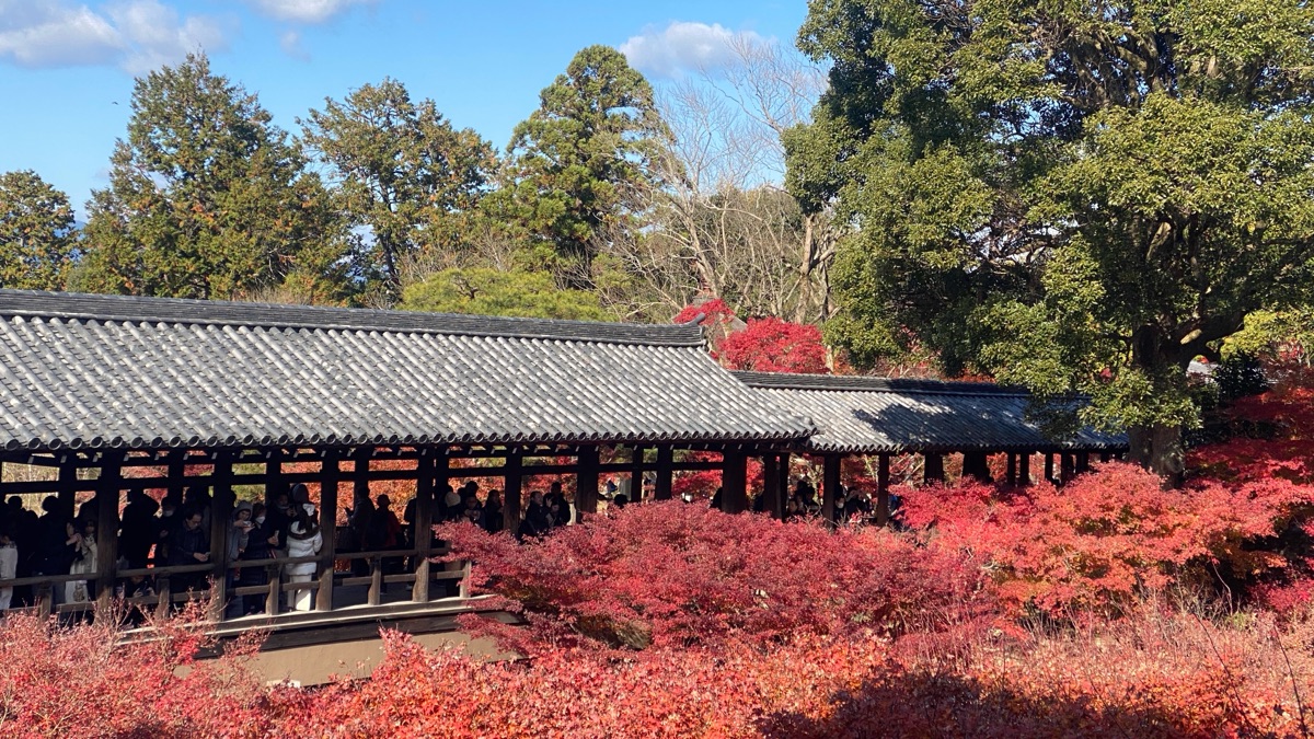東福寺 | 去趣 chicTrip