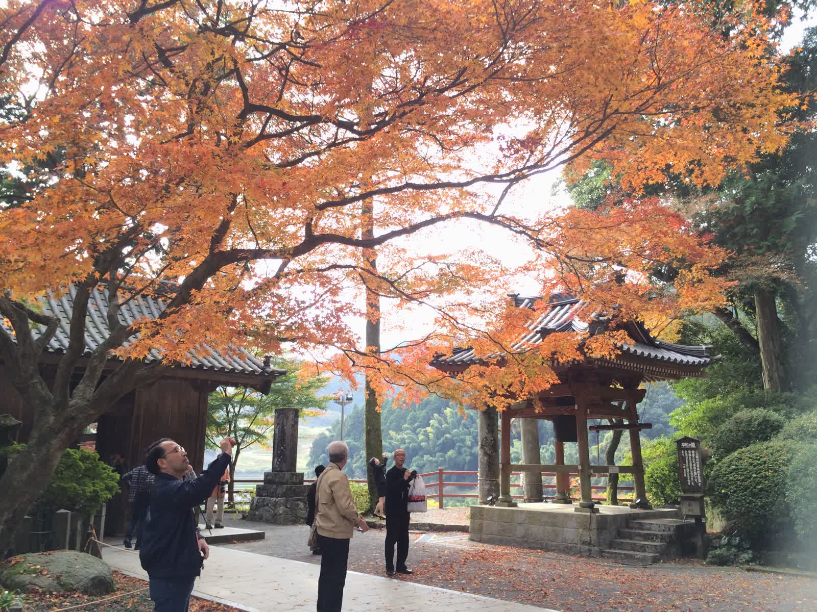 大興善寺 | 去趣 chicTrip