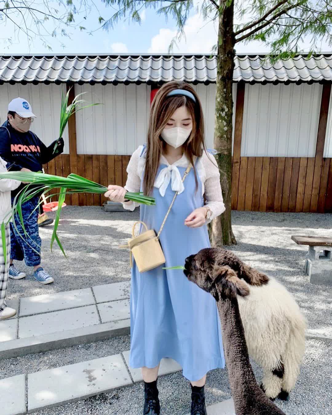 張美阿嬤農場（月森甯手作工坊） | 去趣 chicTrip