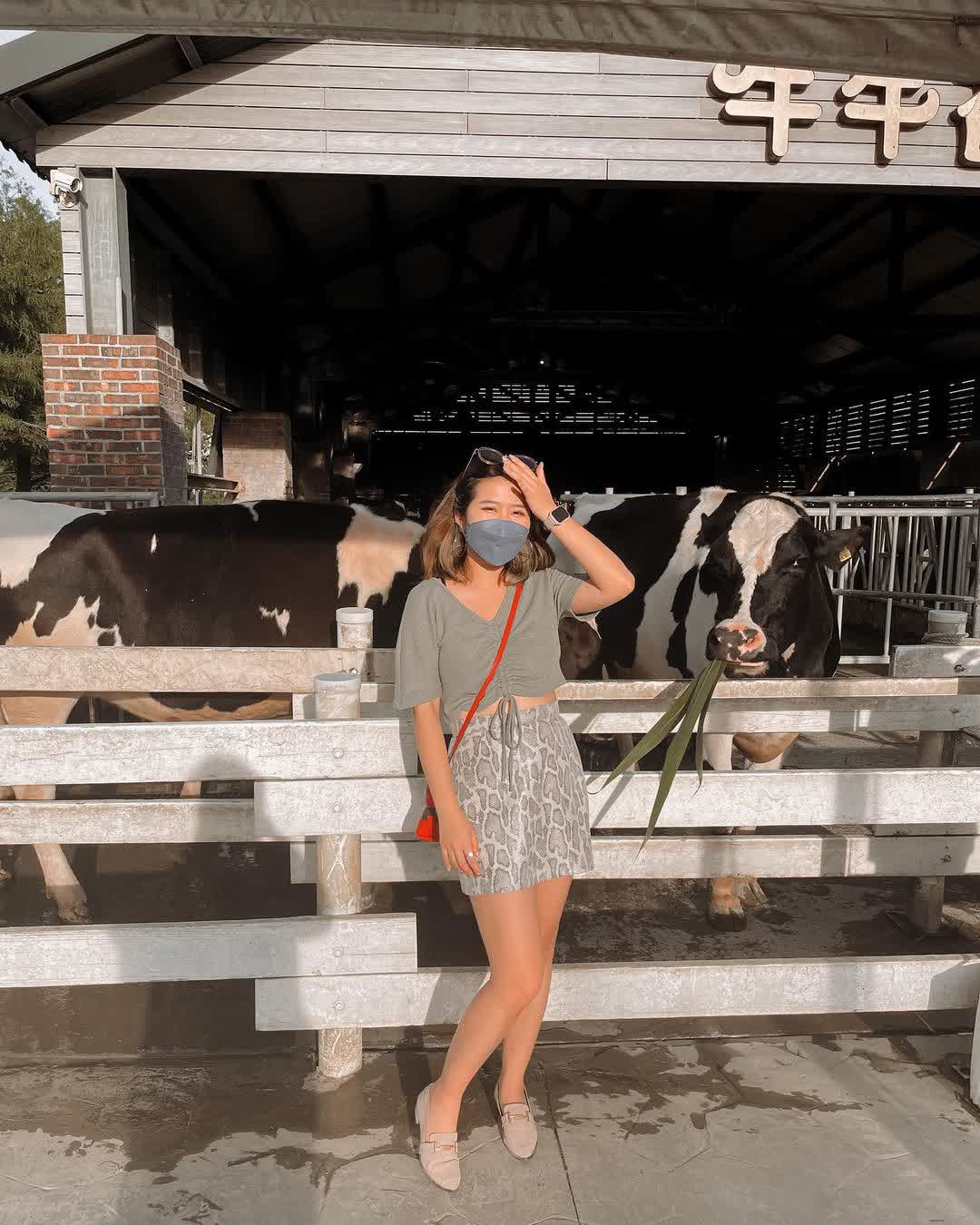 千巧谷牛樂園牧場 | 去趣 chicTrip