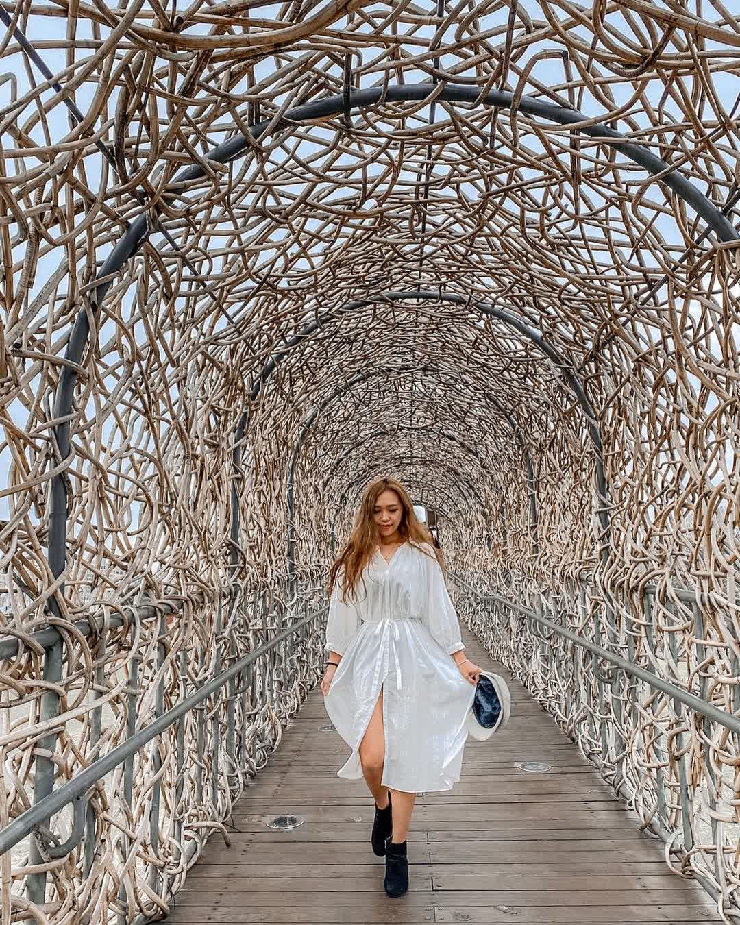 森林之歌 | 去趣 chicTrip