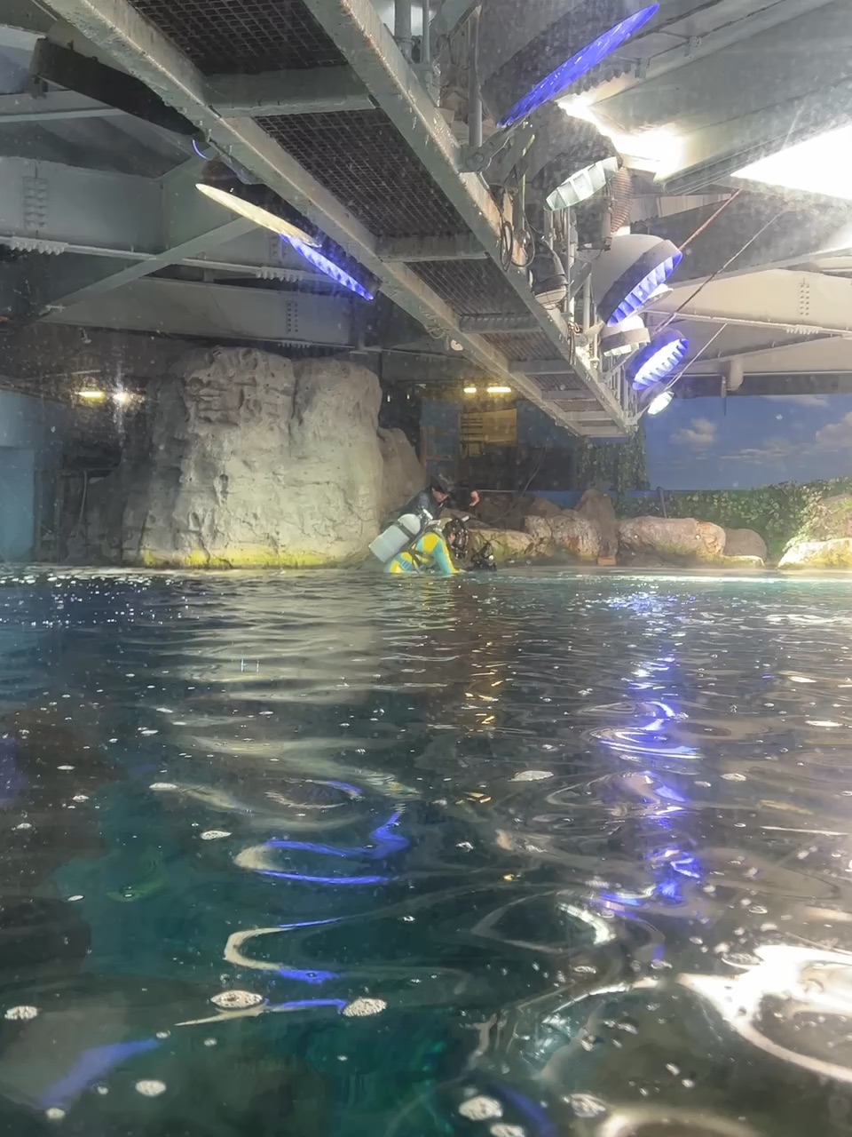 新江之島水族館 | 去趣 chicTrip