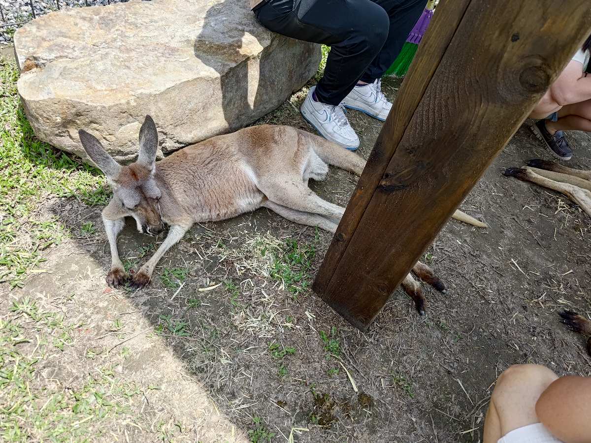 蘭陽動植物王國 | 去趣 chicTrip