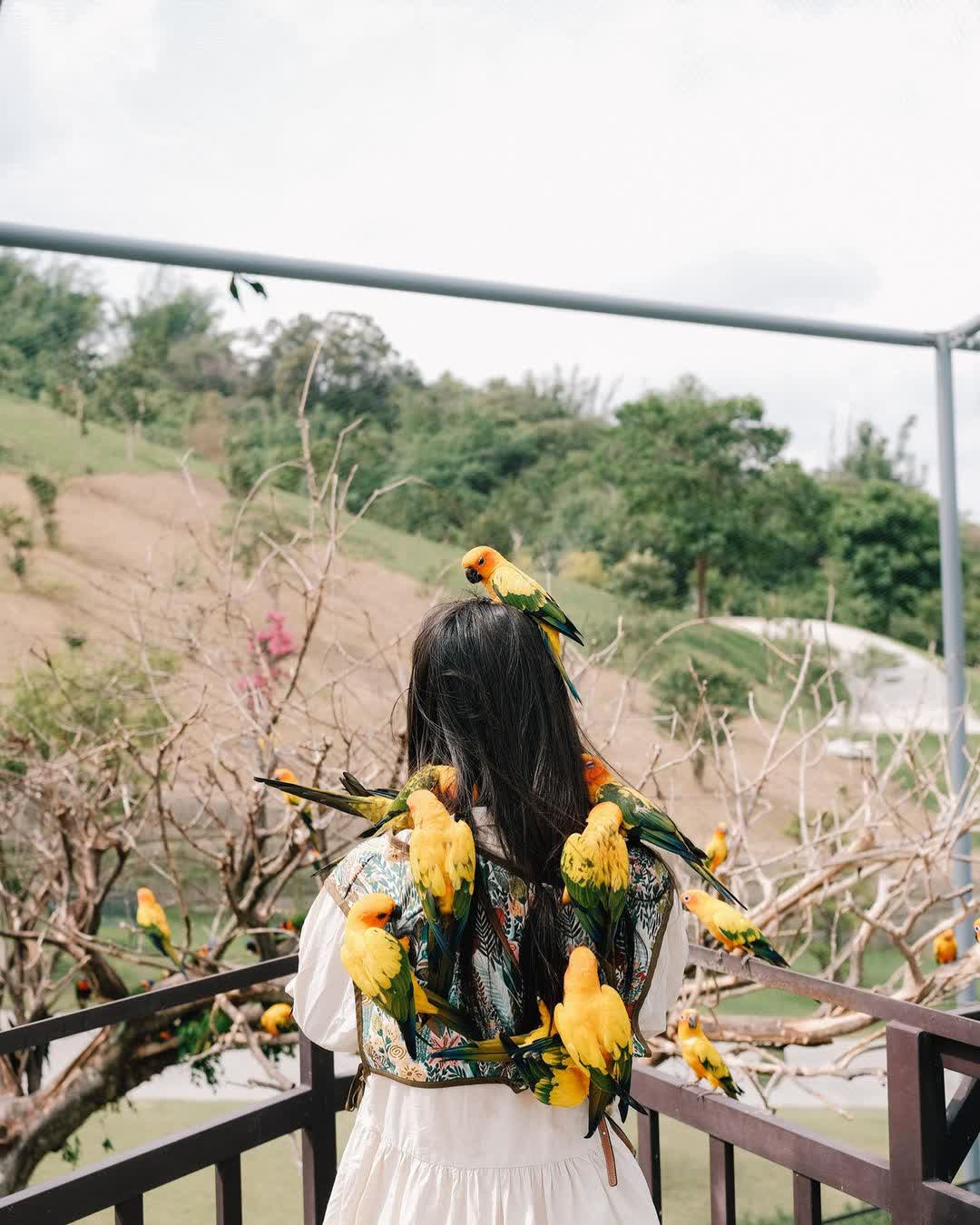 九九峰動物樂園 | 去趣 chicTrip