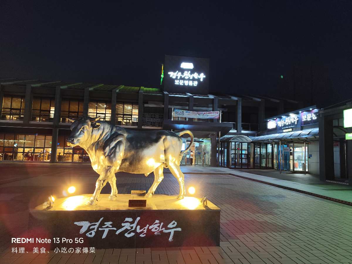 Gyeongju Millennium Hanwoo Bomun Branch | 去趣 chicTrip