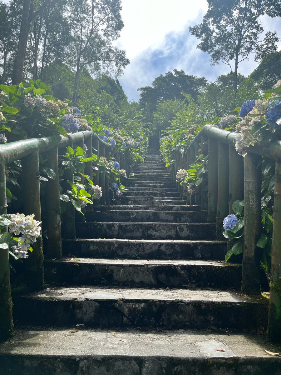 青山農場 | 去趣 chicTrip