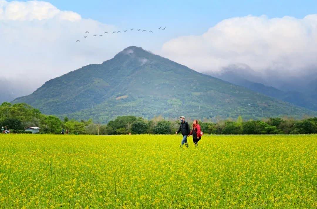 大農大富平地森林園區 | 去趣 chicTrip