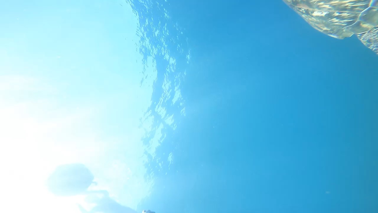 花瓶石 | 去趣 chicTrip