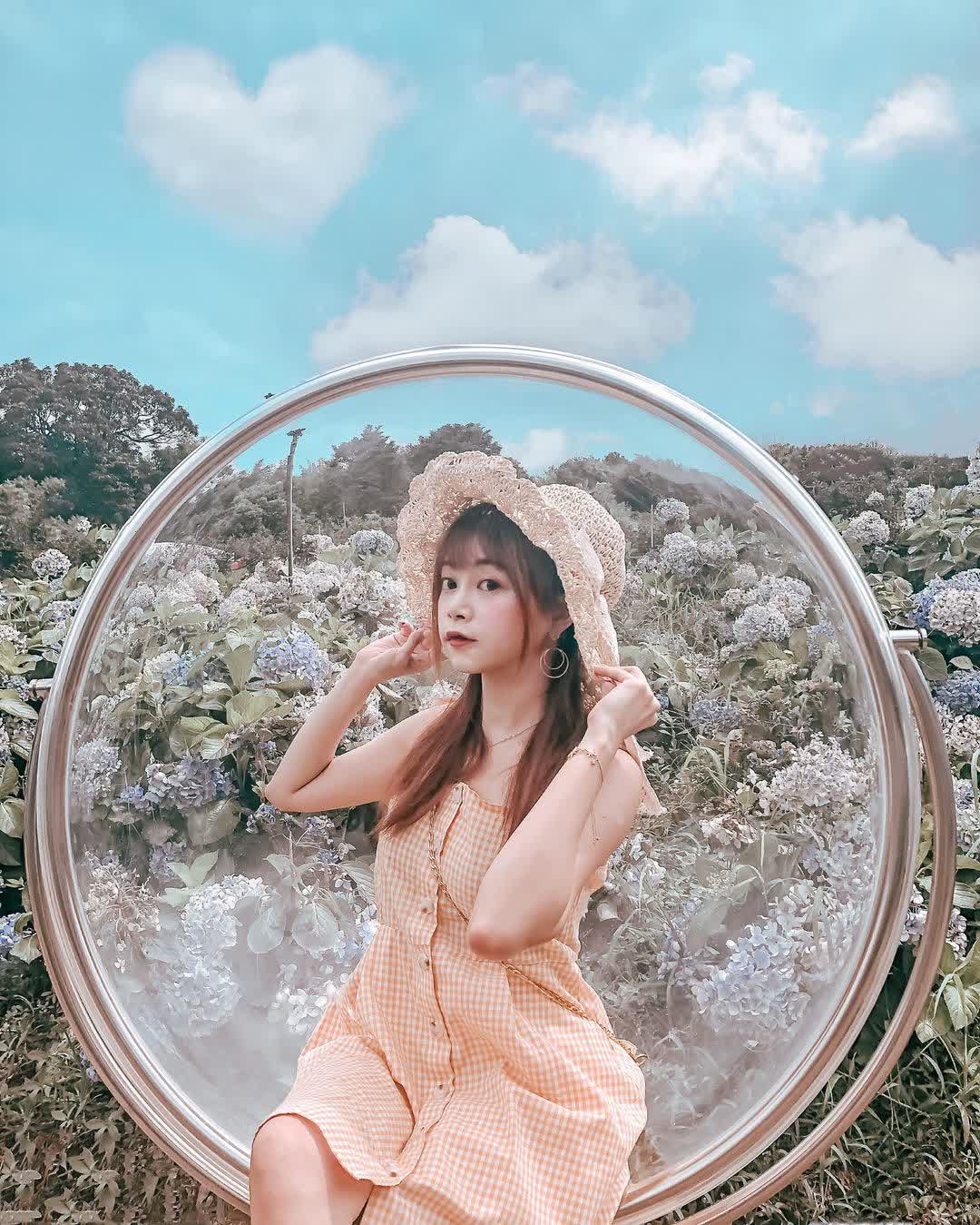 高家繡球花田-萬里第三園區2025年預計4月底開始至7月底 | 去趣 chicTrip