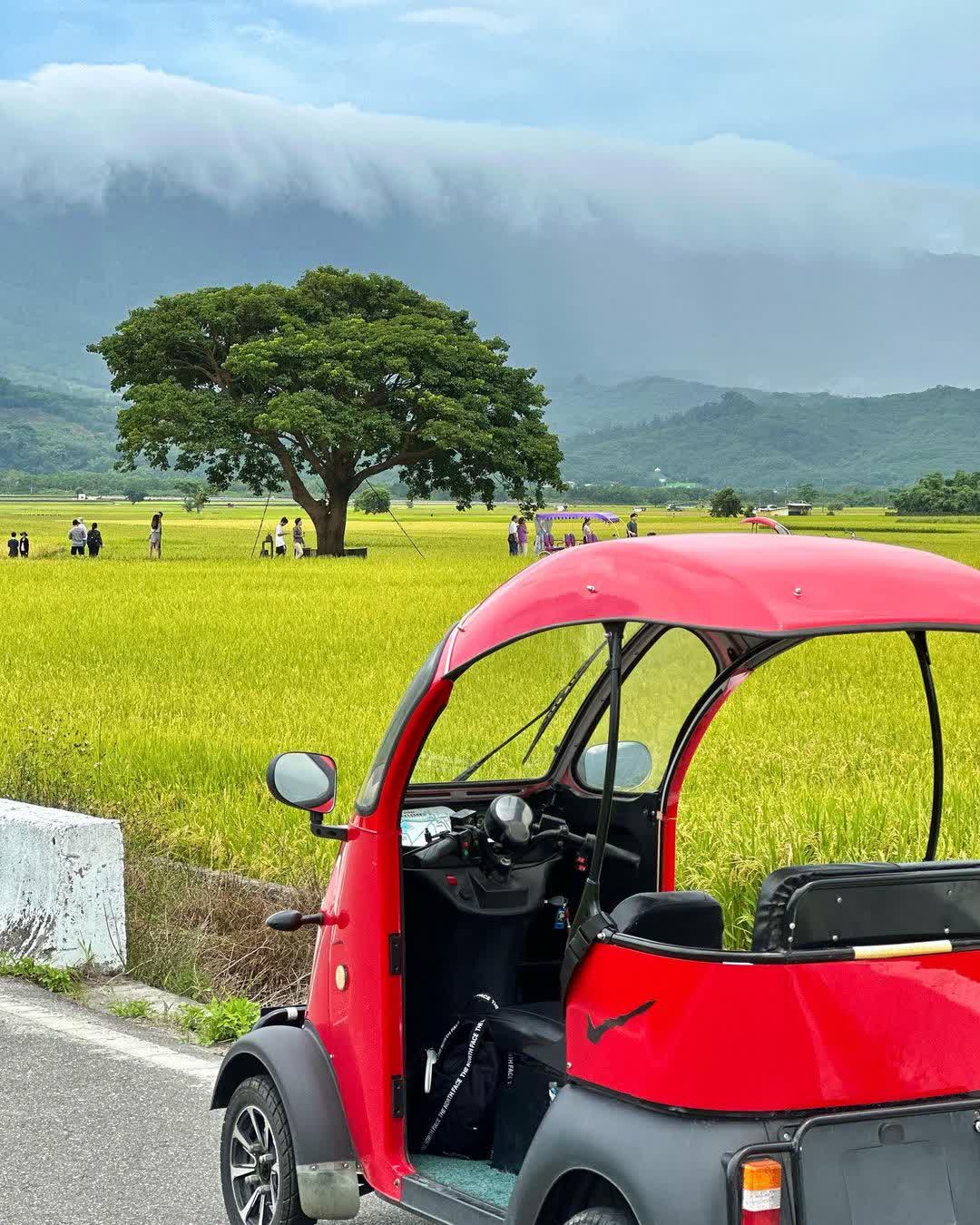 臺東池上錦新三號道路 伯朗大道 | 去趣 chicTrip