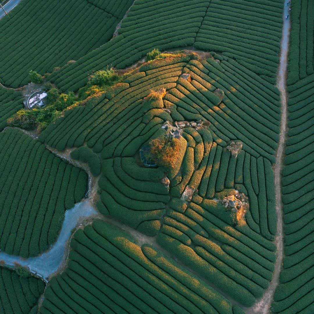 隙頂二延平步道觀雲平台 | 去趣 chicTrip