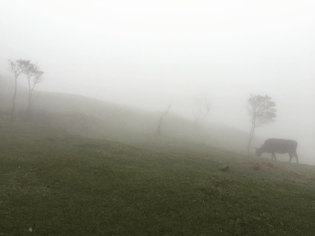 擎天崗 | 去趣 chicTrip