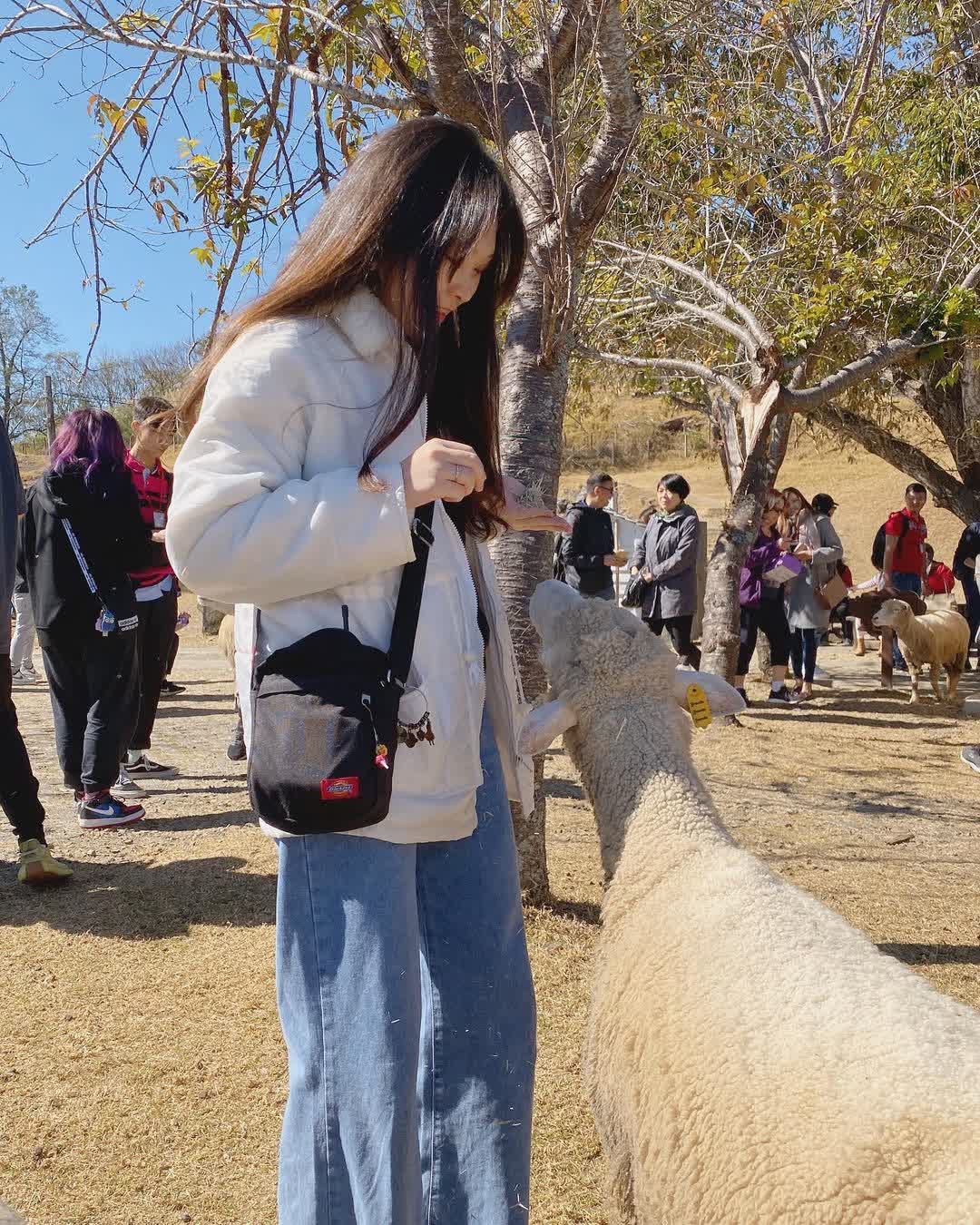 清境農場青青草原 | 去趣 chicTrip