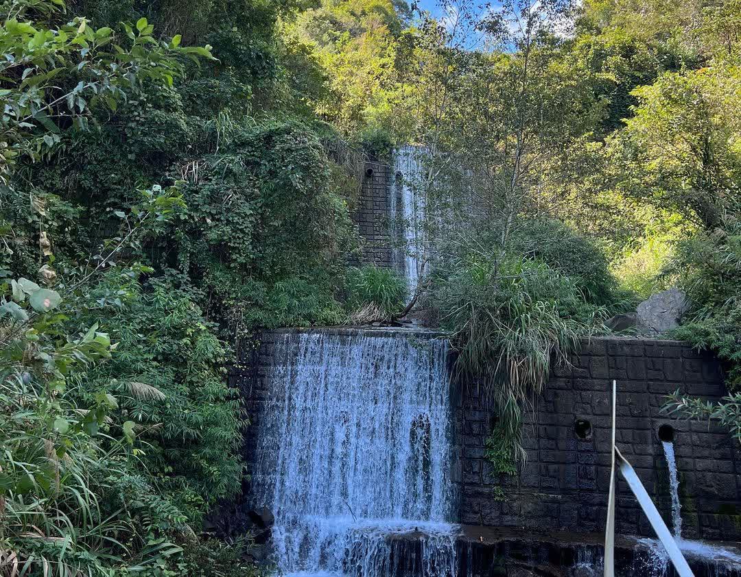 司馬庫斯 | 去趣 chicTrip