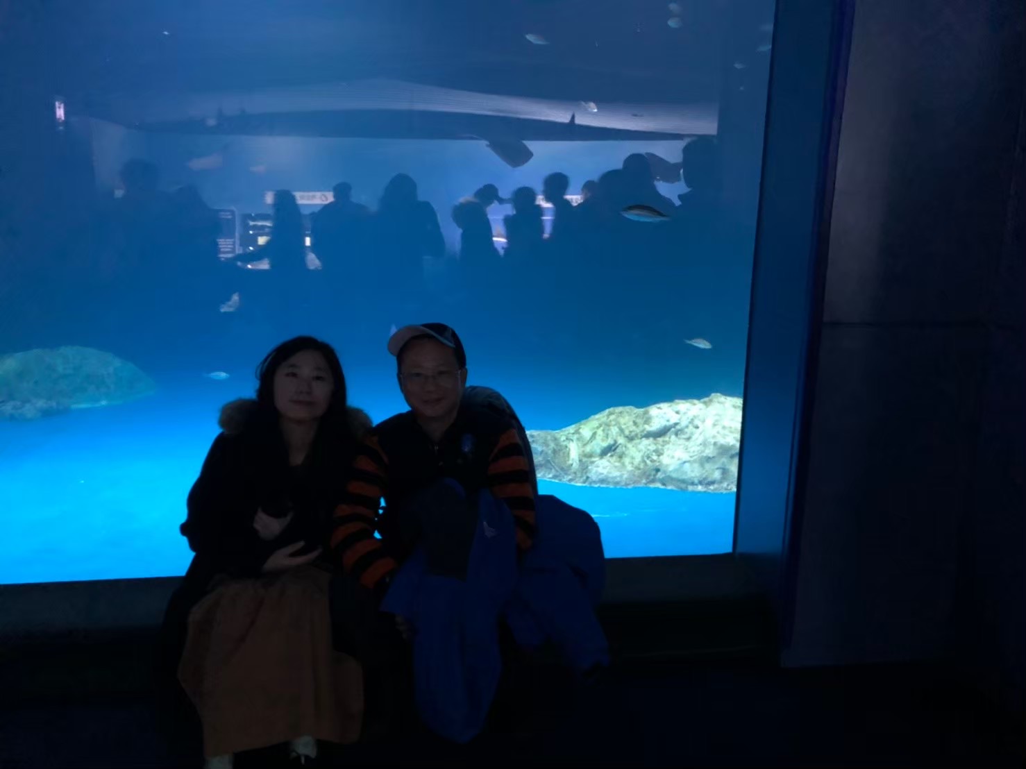 SEA LIFE COEX, Seoul Aquarium | 去趣 chicTrip