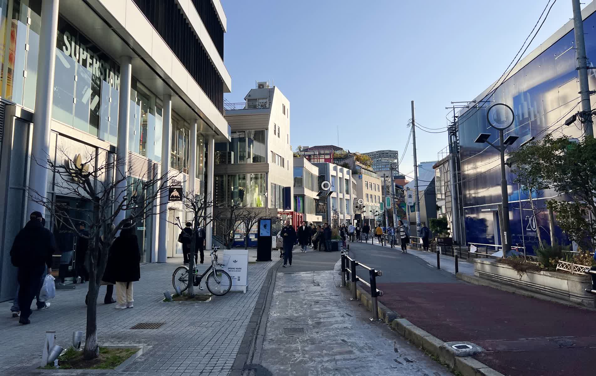 Cat St | 去趣 chicTrip