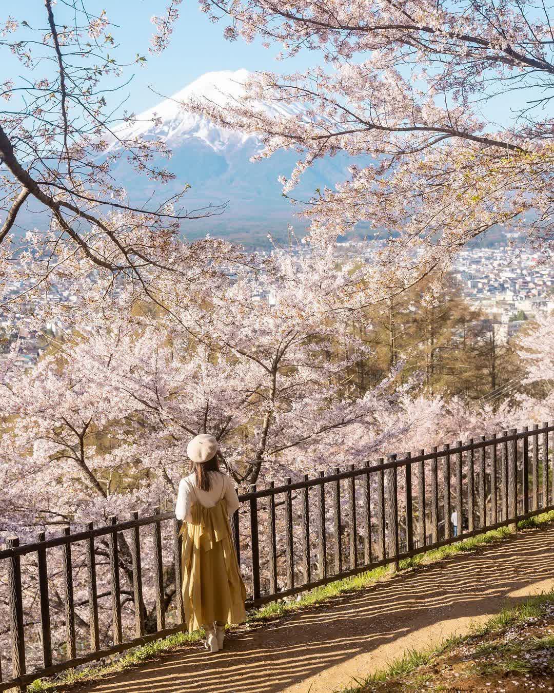 新倉富士淺間神社 | 去趣 chicTrip