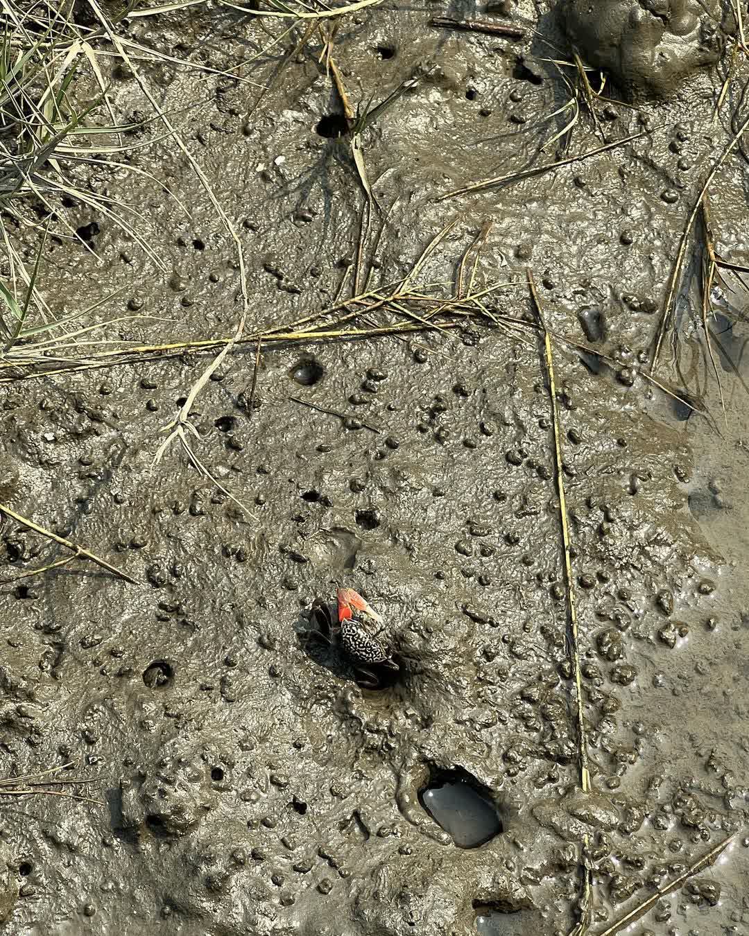 高美濕地 | 去趣 chicTrip