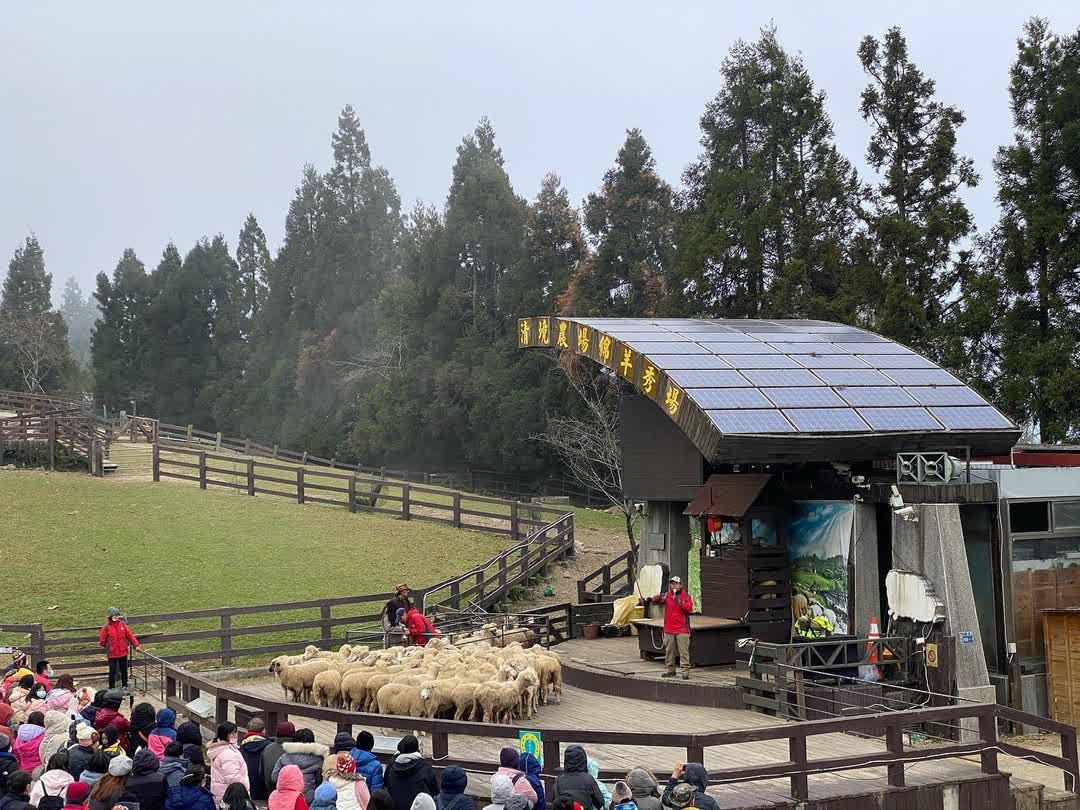 清境農場青青草原 | 去趣 chicTrip