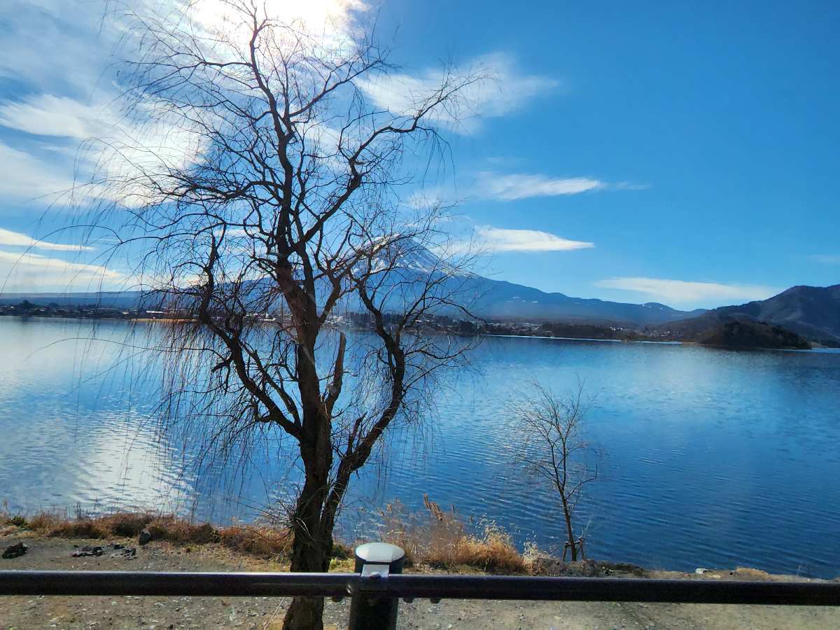 河口湖 | 去趣 chicTrip