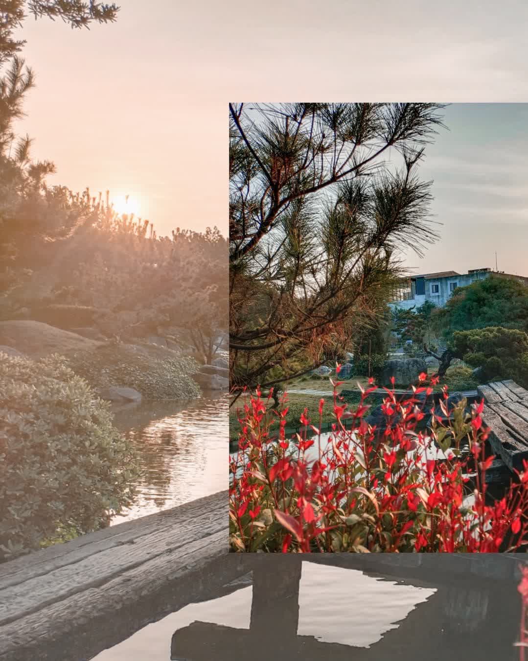 澄霖沉香味道森林館 | 去趣 chicTrip