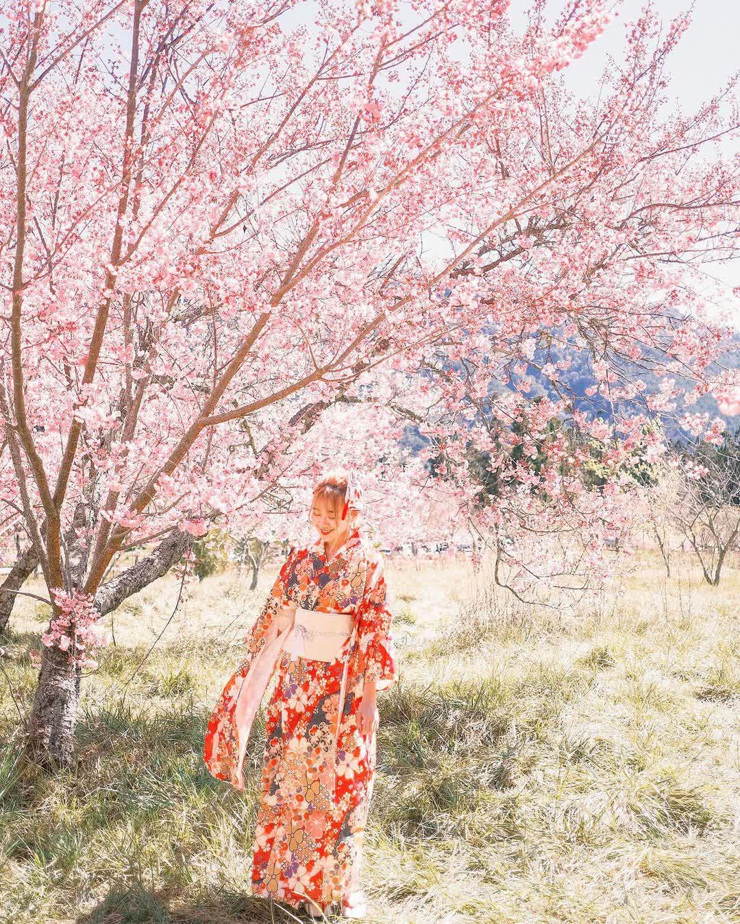 武陵農場 | 去趣 chicTrip