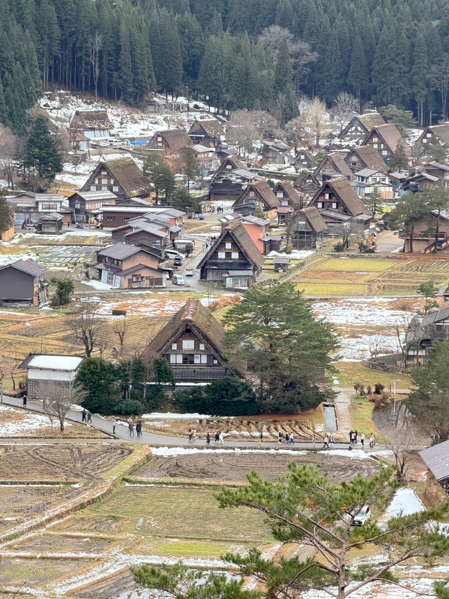 白川鄉合掌造聚落 | 去趣 chicTrip