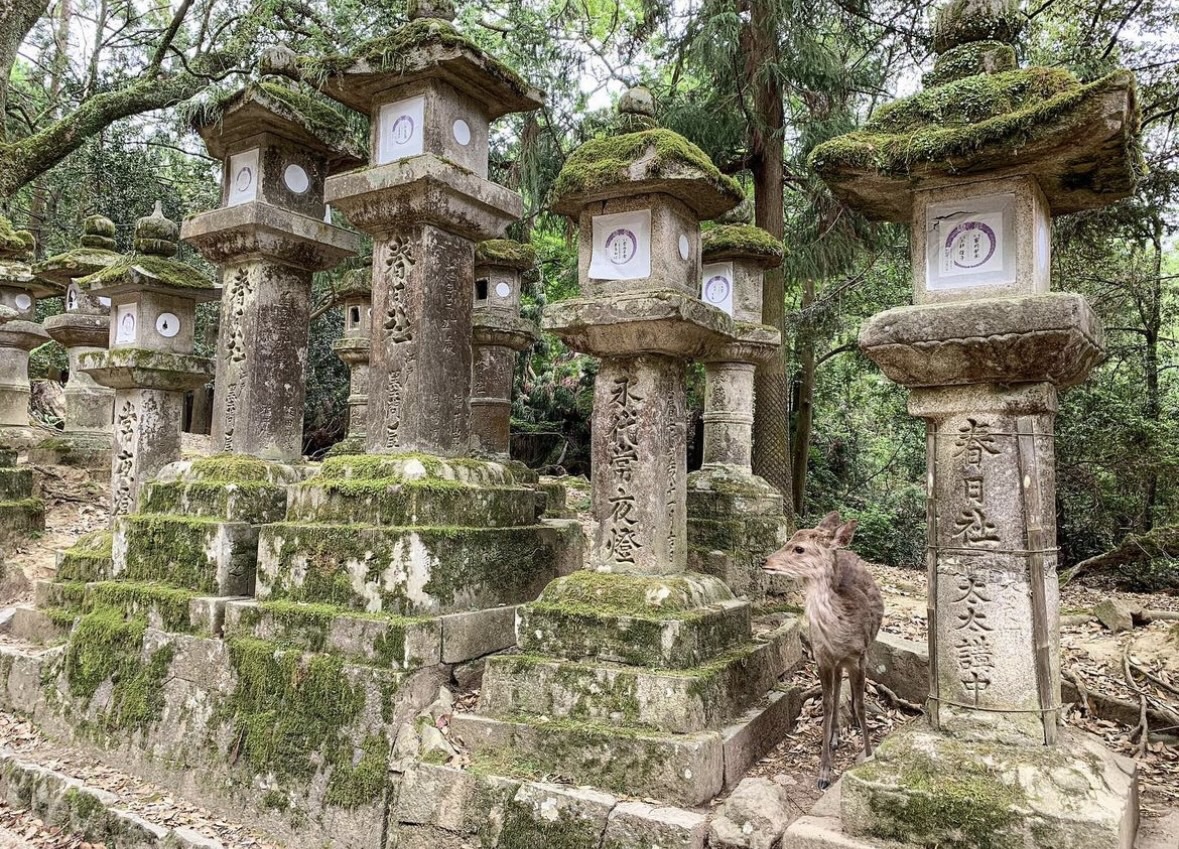 春日大社 | 去趣 chicTrip