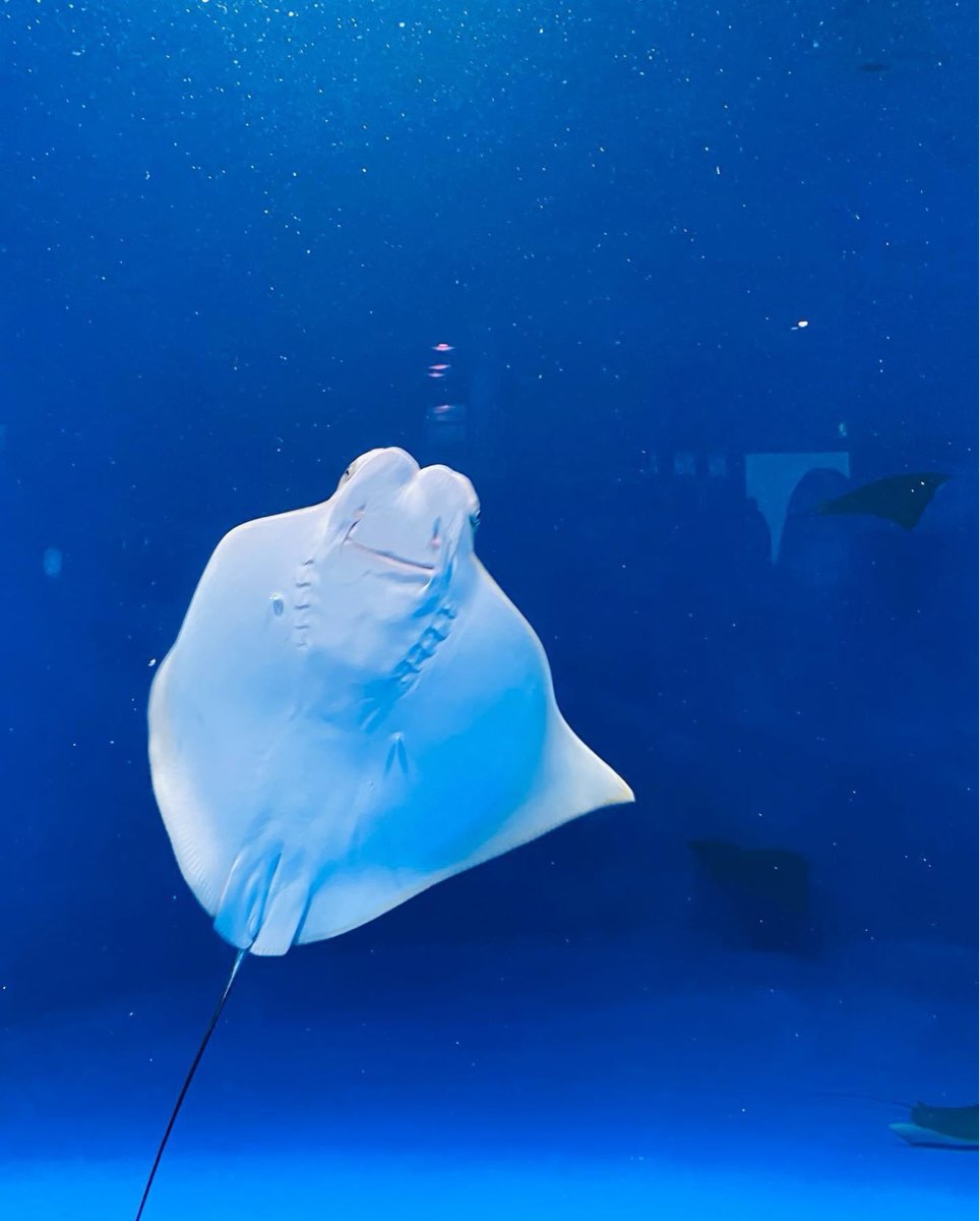 國立海洋生物博物館 | 去趣 chicTrip