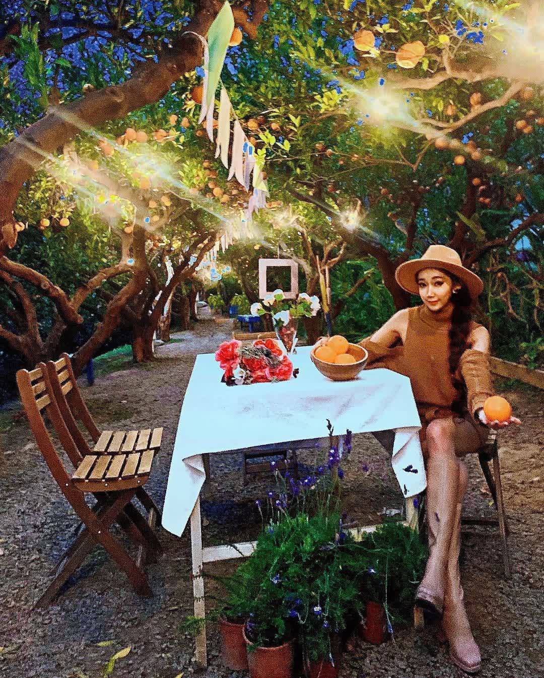 橙香森林 | 去趣 chicTrip