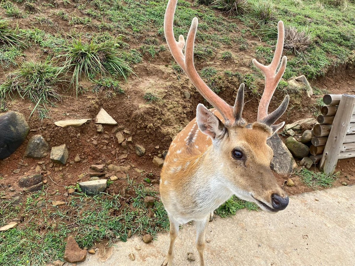 大坵島 | 去趣 chicTrip