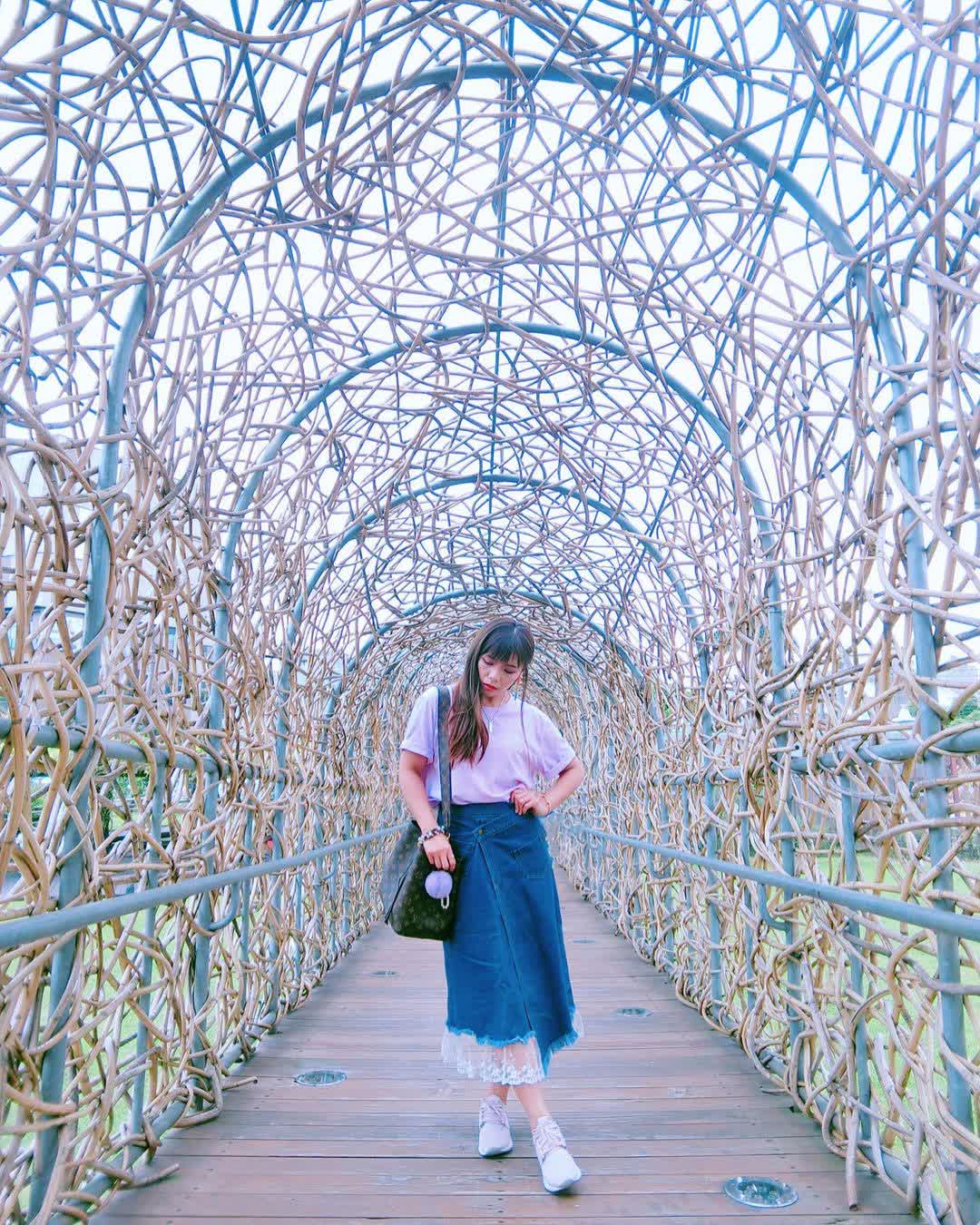 森林之歌 | 去趣 chicTrip