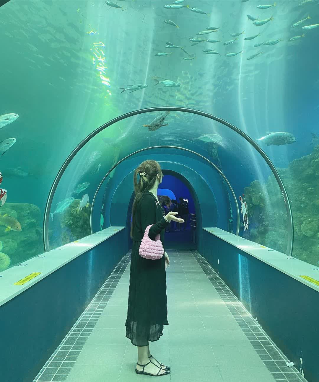 澎湖水族館 | 去趣 chicTrip