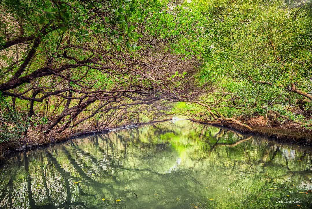 四草綠色隧道 | 去趣 chicTrip