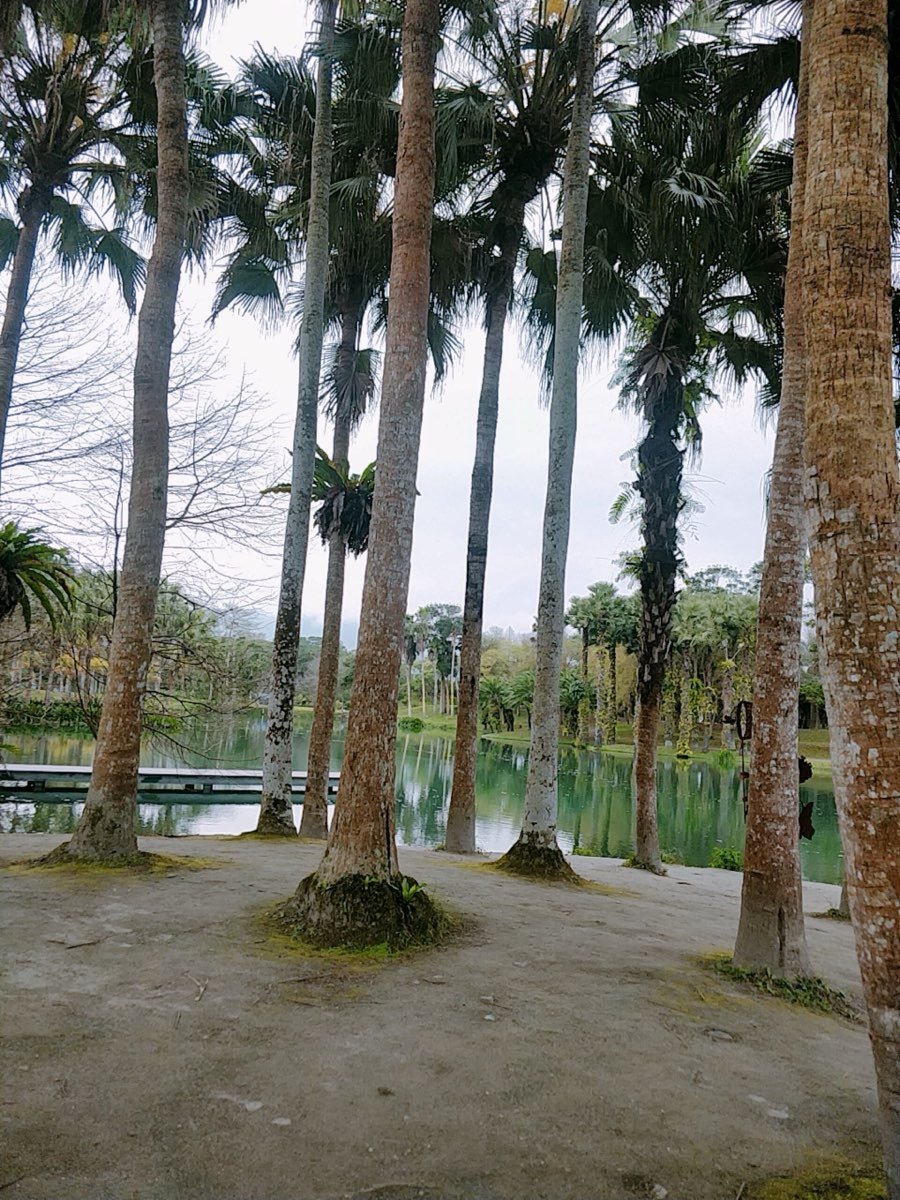 花蓮雲山水夢幻湖 | 去趣 chicTrip
