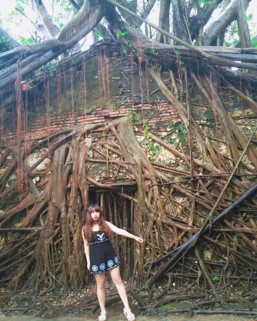 安平樹屋 | 去趣 chicTrip