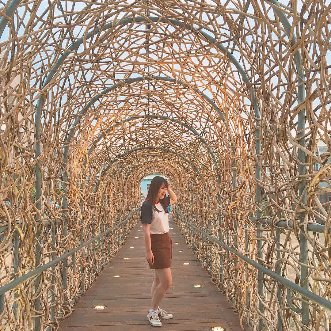 森林之歌 | 去趣 chicTrip