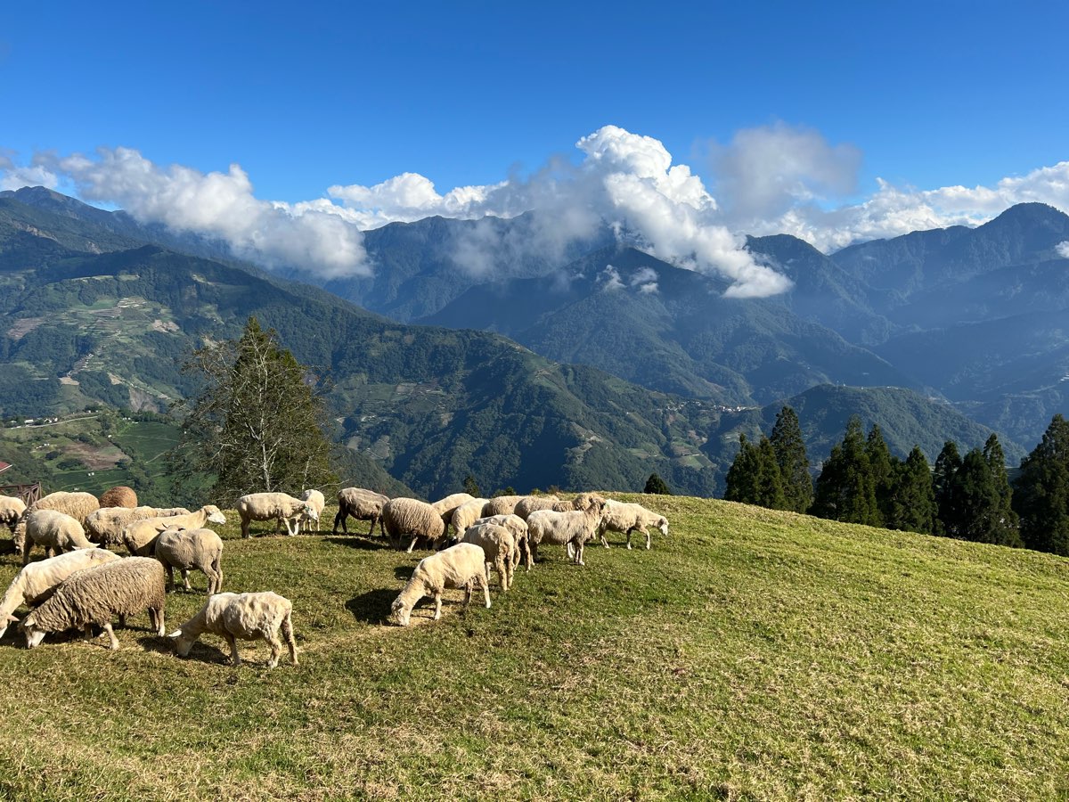 清境農場青青草原 | 去趣 chicTrip