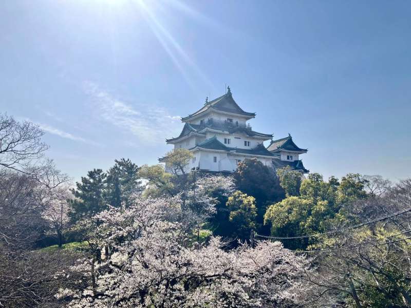 和歌山城 | 去趣 chicTrip