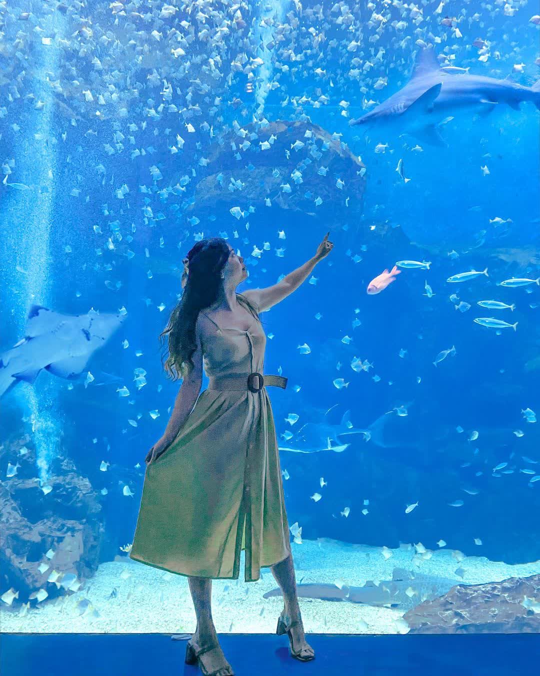 Xpark 水族館 | 去趣 chicTrip