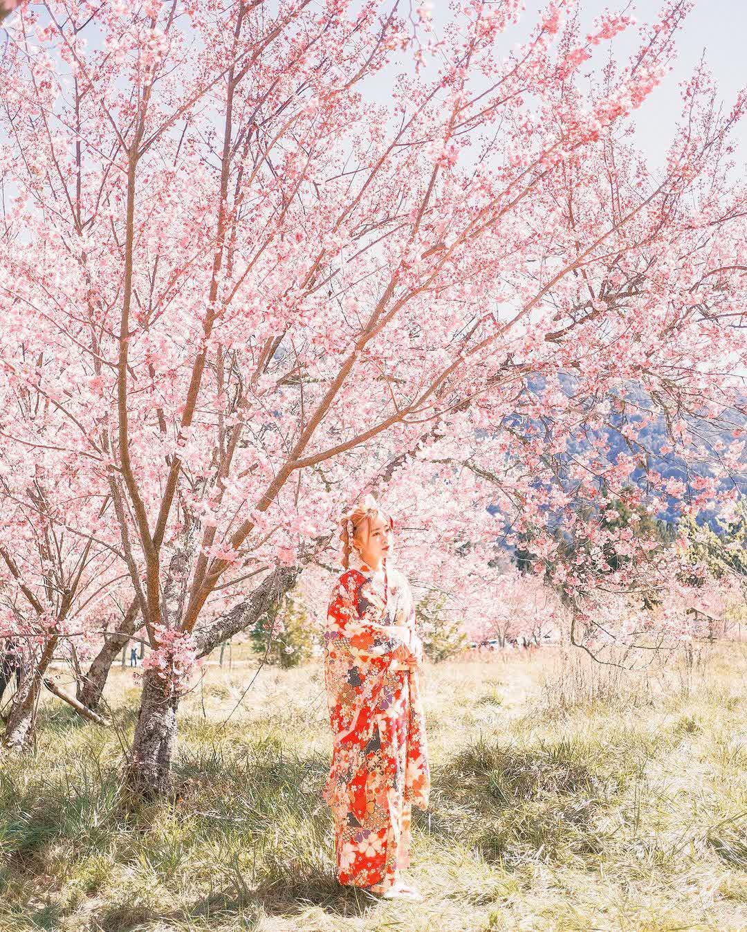 武陵農場 | 去趣 chicTrip