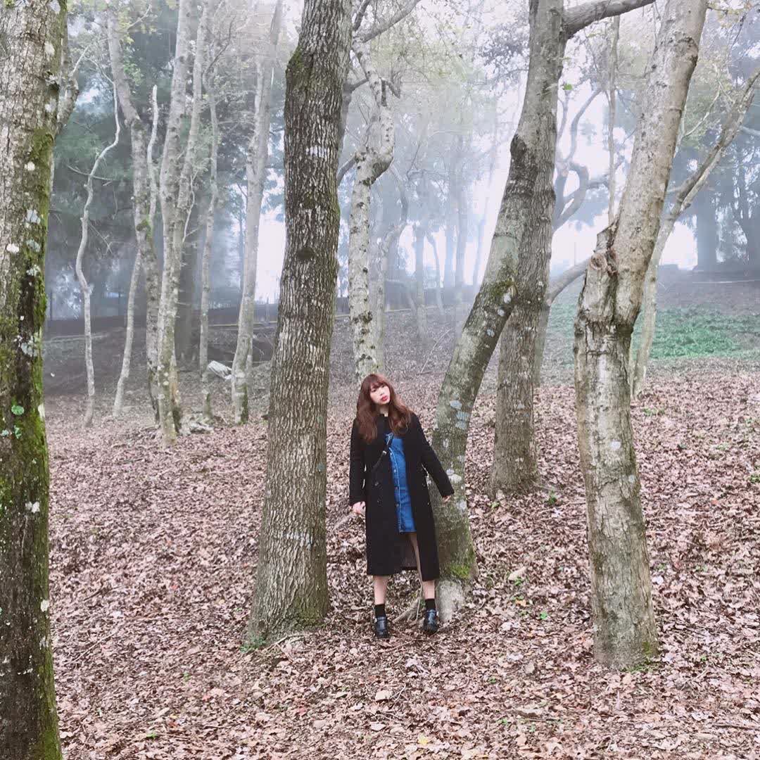 清境農場小瑞士花園 | 去趣 chicTrip