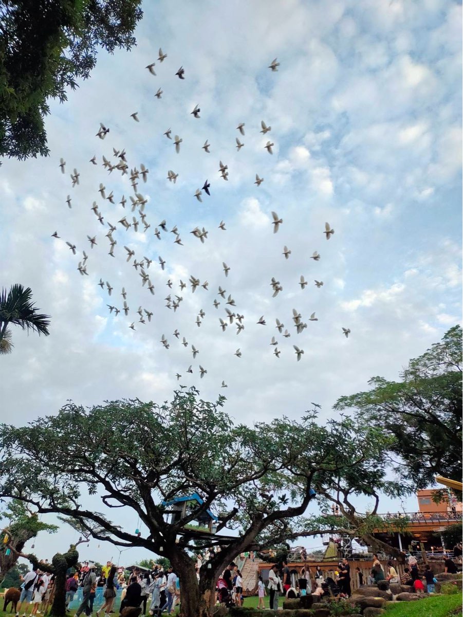 星月天空景觀餐廳 | 去趣 chicTrip