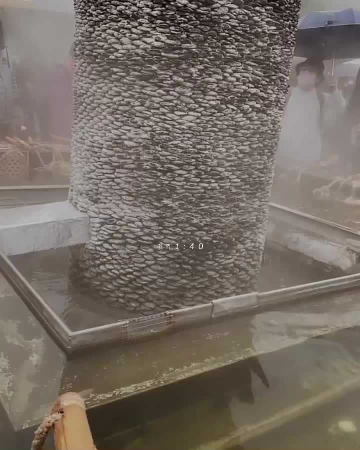 清水地熱公園 | 去趣 chicTrip