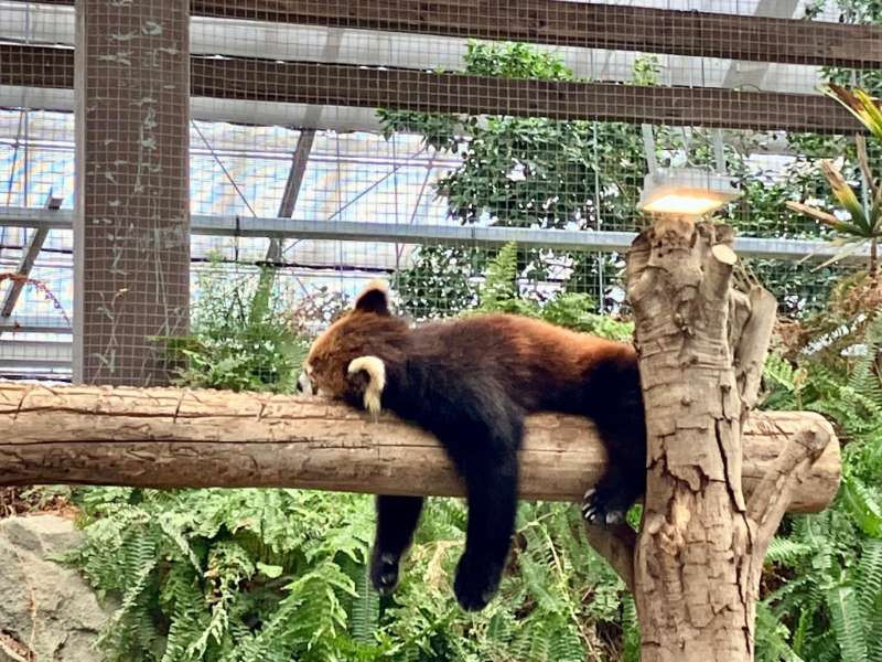 神戶動物王國 | 去趣 chicTrip