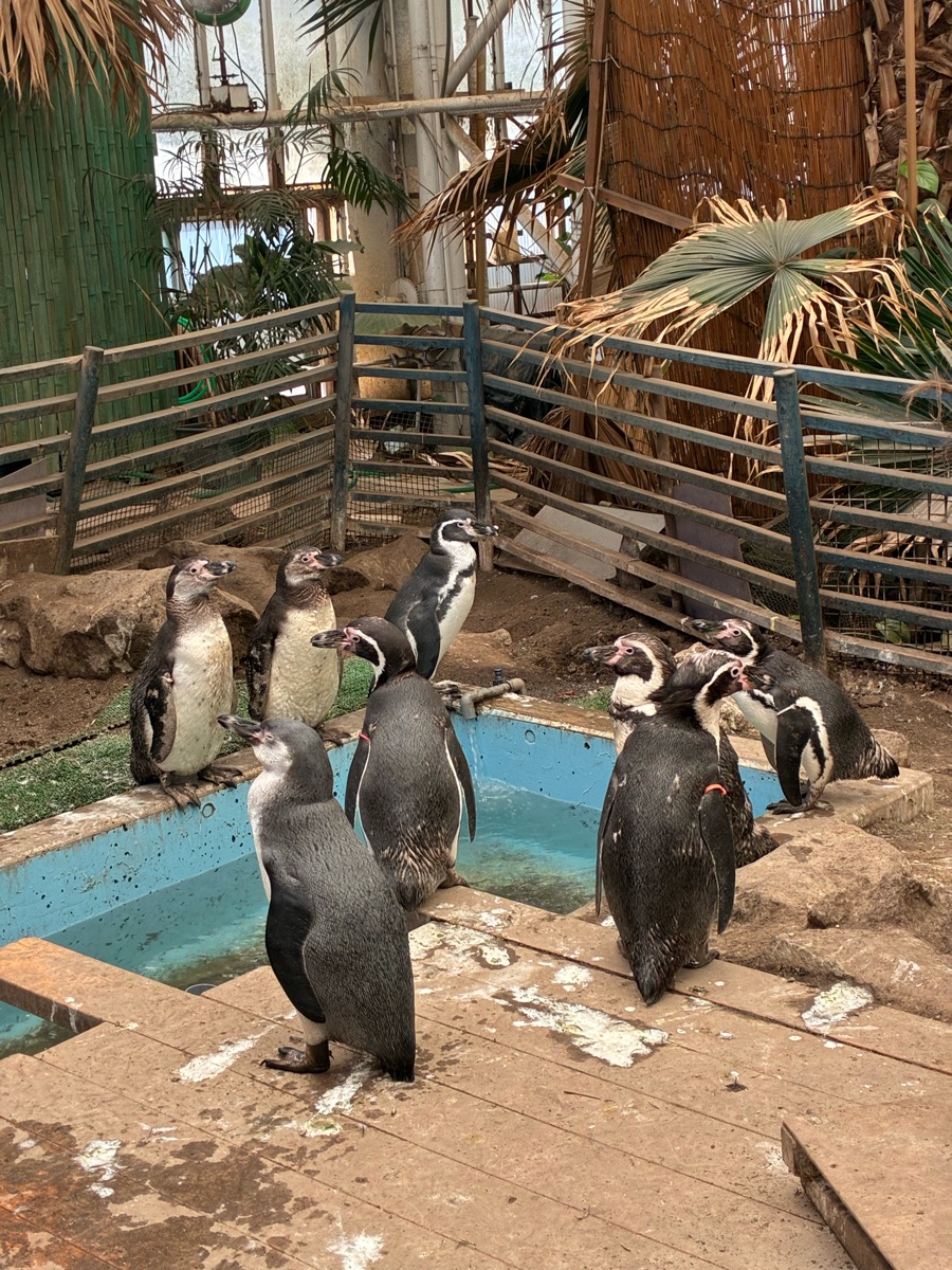 伊勢海洋樂園 | 去趣 chicTrip